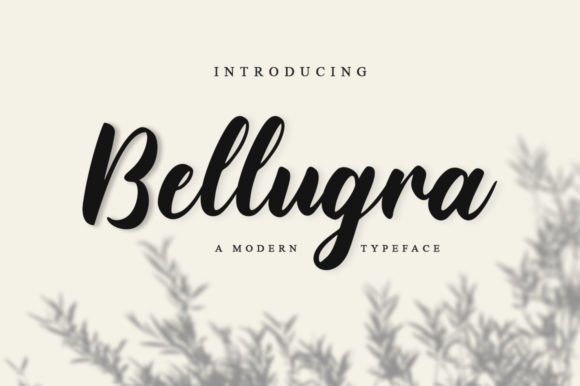 Bellugra: The Playful Script Font for Memorable Brand Identity