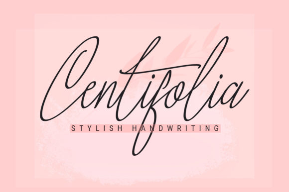 Centifolia: A Delicate Script Font for Polished Brand Identity