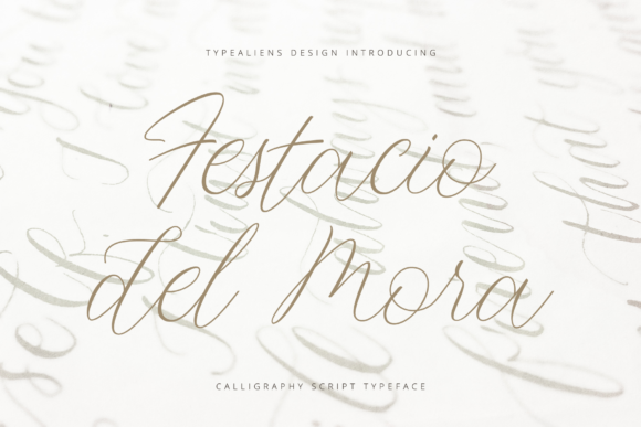 Festacio Del Mora: A Playful Script Font for Modern Web Design