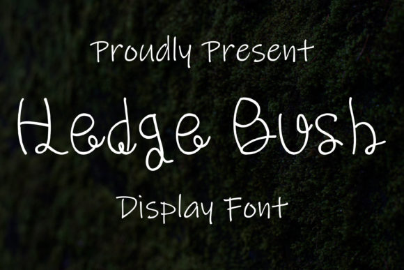 Hedge Bush: A Script Font for Engaging Campaign Graphics