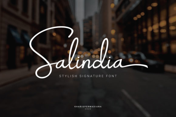 Salindia: The Elegant Script Typeface for Modern Web Design