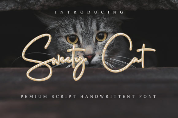 Sweety Cat: The Elegant Script Font for Boutique Branding