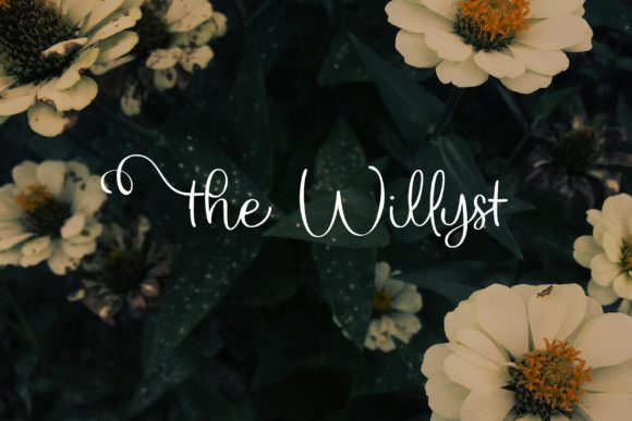 The Willyst: A Chic Script Font for Elegant Handmade Products