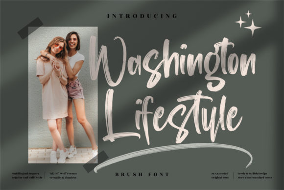Washington Lifestyle: A Whimsical Script Font for Modern Web Design