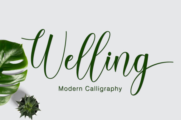 Welling Script Typeface for Modern Web Design
