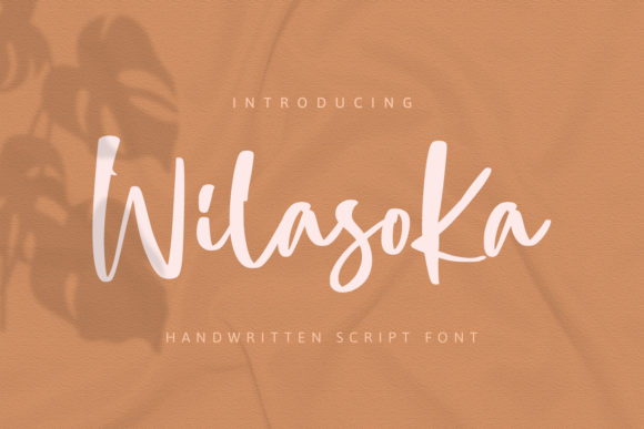 Wilasoka: The Playful Script Font for Standout Campaigns